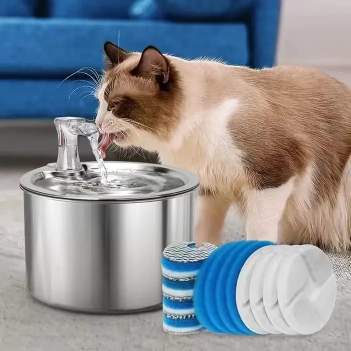 Filtres de fontaine d'eau pour chat, filtres de remplacement à charbon actif pour distributeur d'eau