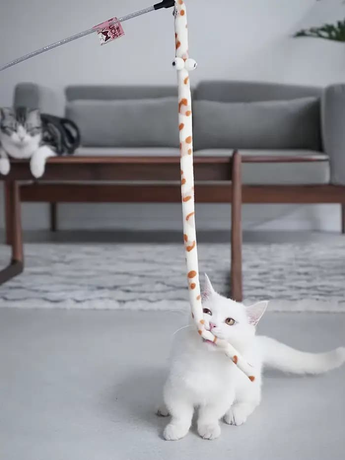 Jouet pour chat plume chat Teaser baguette chat jouet interactif drôle chenille coloré tige Teaser b