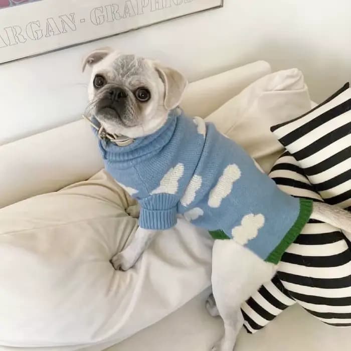 Pull nuage pour chien, vêtements chauds pour chats au printemps, automne et hiver, vêtements pour an