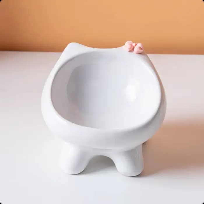 Bol de nourriture pour animaux de compagnie, angle de 15 degrés, pour protéger le cou du chat et évi