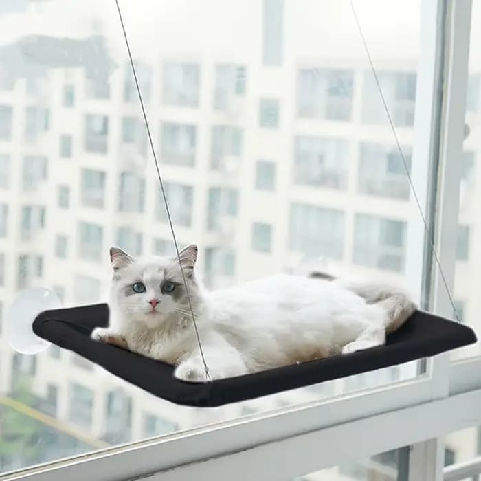 Hamac de fenêtre pour chat, lit suspendu pour chat, siège de fenêtre ensoleillé pour chats d'intérie