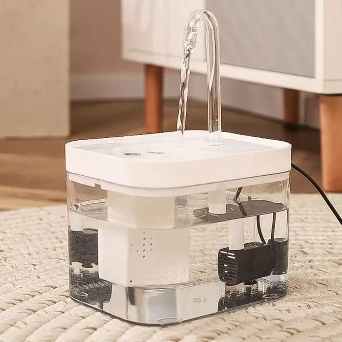 Fontaine à boire transparente pour chat, circulation automatique, bassin d'eau vivante, fontaine int