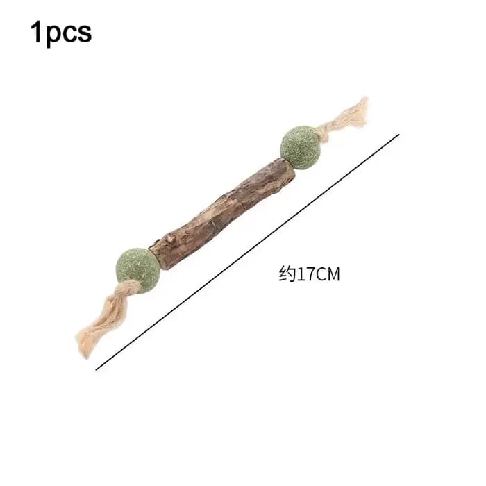 1 bâtonnet de nettoyage dentaire pour chat, pur et naturel, à la catnip, à la Silvervine (fruits d'a