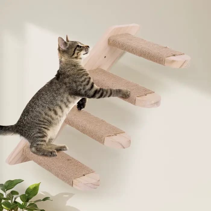 Étagère murale d'escalade pour chat, échelle à quatre marches, structure d'escalade pour chat, acces