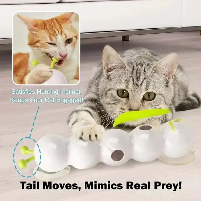 Jouet interactif pour chat Caterpillar, Wack activé par le mouvement, poteau à vis sans fin, jouet p