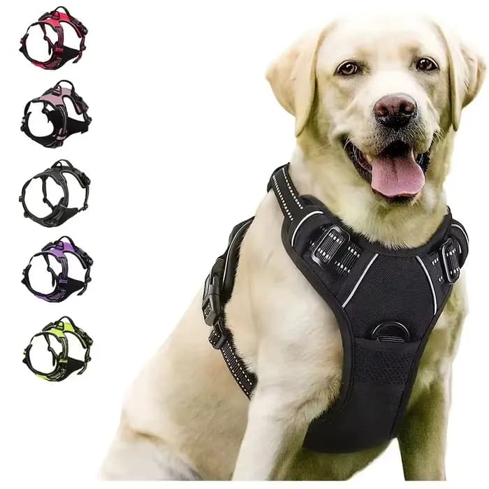 Colliers pour chiens, harnais, grands gilets, laisse, boutique d'animaux, tout pour chiens, accessoi