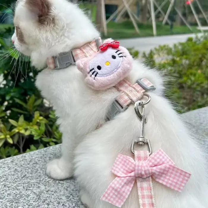 Ensembles de harnais et de laisse pour chat Hello Kitty avec corde de 150 cm, harnais réglable pour 
