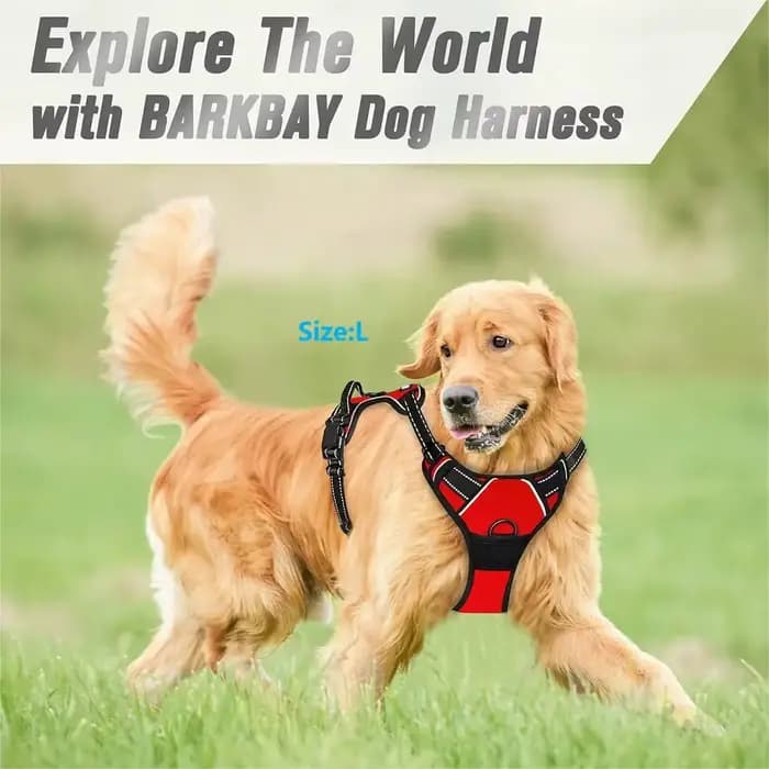 Colliers pour chiens, harnais, grands gilets, laisse, boutique d'animaux, tout pour chiens, accessoi