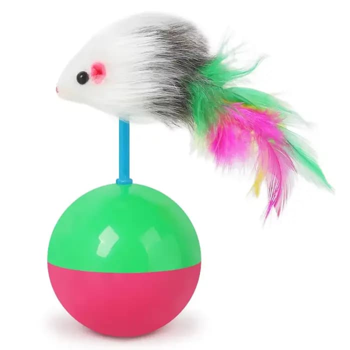 Ensemble de jouets pour chat, souris, pas de gobelet, amusant, pour chiens et chats, jouets auto-hau