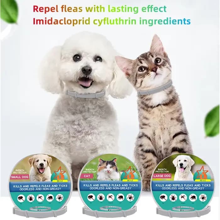 Collier extensible anti-puces pour animaux de compagnie, personnalisé, anti-puces et tiques, grand c