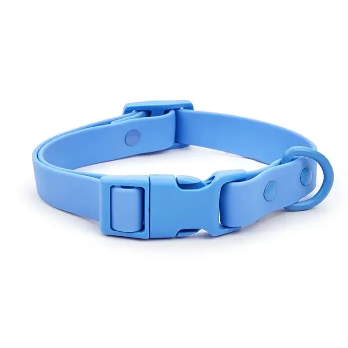 Collier de chien à sangle élastique, identification des animaux de compagnie, réglable, étanche, san