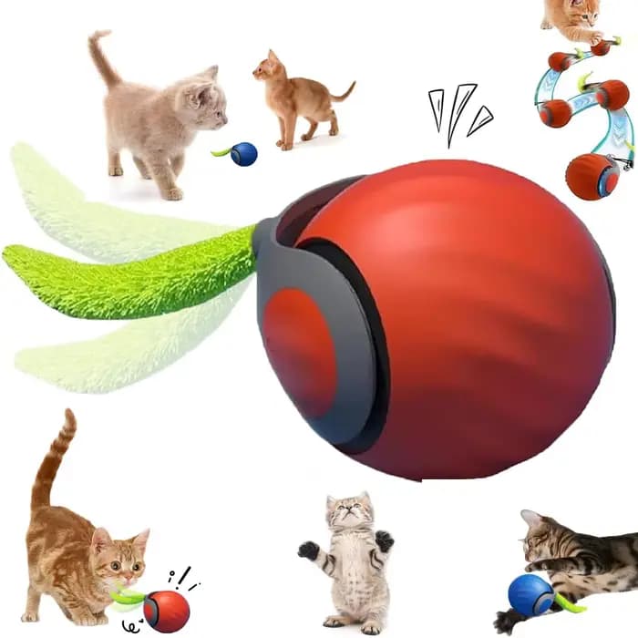 Nouveau jouet pour chat Speedy Tail 2.0, jouet interactif pour chat, balle pour chat, jouet intellig