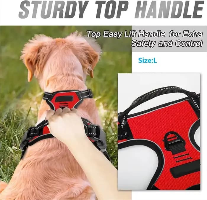 Colliers pour chiens, harnais, grands gilets, laisse, boutique d'animaux, tout pour chiens, accessoi