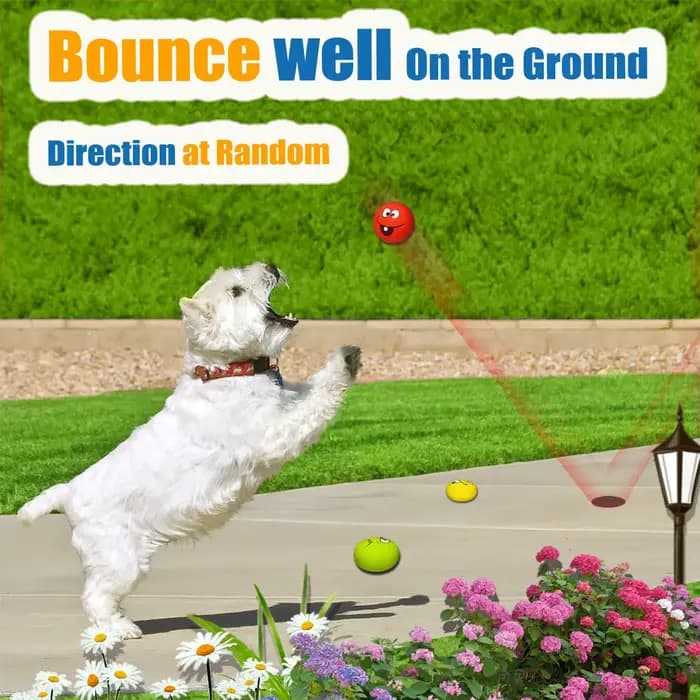 Boule grinçante en caoutchouc pour chien, chiot, jeu pour animaux de compagnie, jouets à mâcher avec