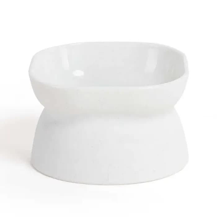 Gamelle d'eau pour chat inclinée et surélevée, gamelle et abreuvoir pour chaton, accessoires pour an