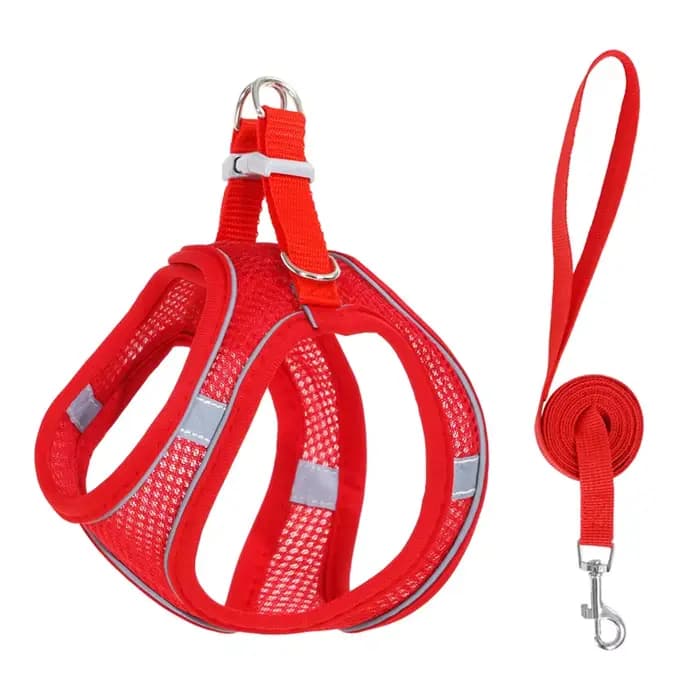 Harnais et laisse pour chat pour la promenade, anti-évasion, gilet réglable pour chaton, maille douc