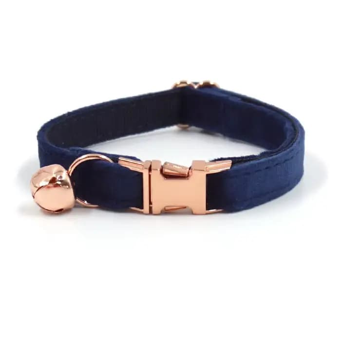 Collier de chat en velours personnalisé, étiquette d'identification personnalisée, colliers de chato
