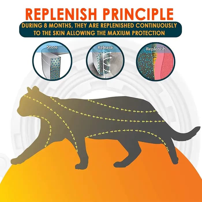 Collier pour chat, colliers Anti-puces et tiques pour chiens, Protection pour animaux de compagnie d