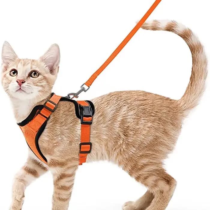 Harnais et laisse pour chat pour la marche, harnais de gilet doux et réglable anti-fuite pour chats,