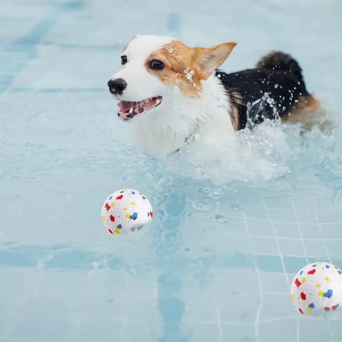 Balle à Mâcher Super Morsure pour Chien, Balle à Mâcher Légère, Balle Interactive à Haute artificiel
