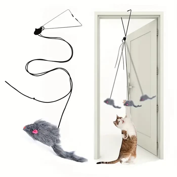 Jouet de Face de Porte pour Chat, Souligné Charleroi Eve Living OmDoor, pour Salon chaton