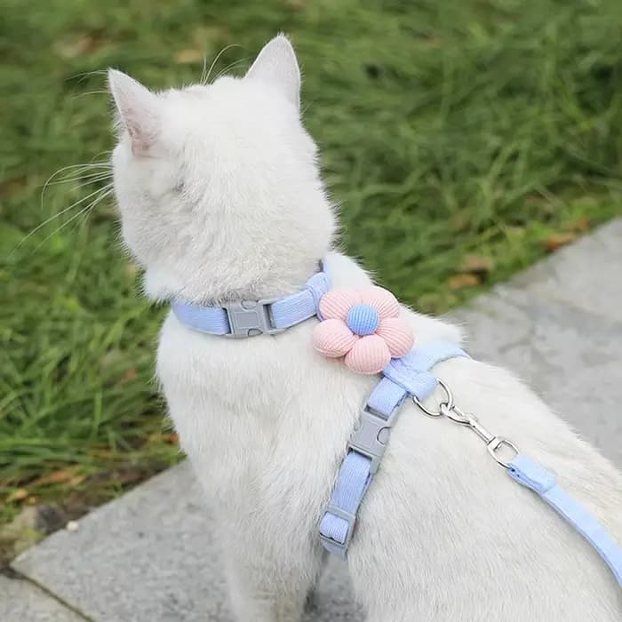 Ensembles de harnais et de laisse pour chat, harnais réglable pour petit chien, harnais pour animaux