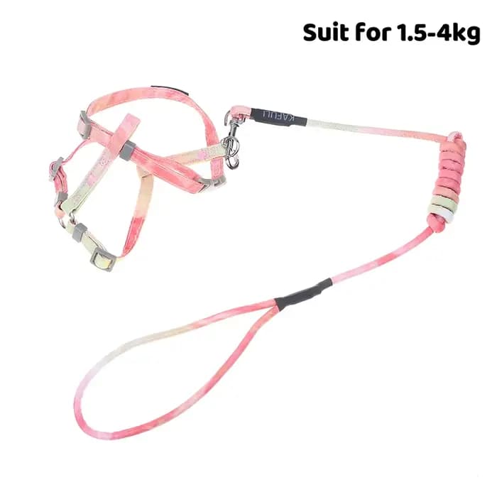 Harnais et laisse pour chat réglables, anti-évasion, gilet souple, harnais pour chaton, accessoires 