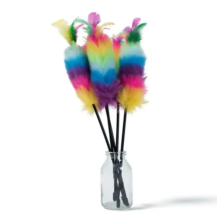 Baguette de teaser en plumes colorées, bâton de teaser de jouet de chat drôle, jouets interactifs po
