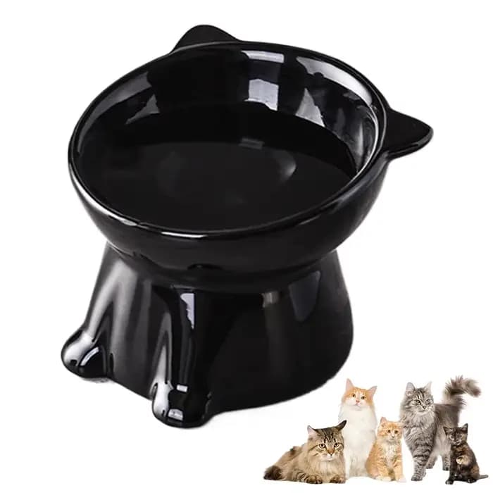 Bol surélevé pour chat, Anti-basculement, plat d'alimentation en plastique surélevé pour animaux de 