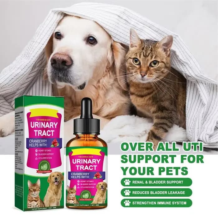 Traitements UTI pour animaux de compagnie, 60ml, gouttes de vessie puissantes pour chat, pour soins 