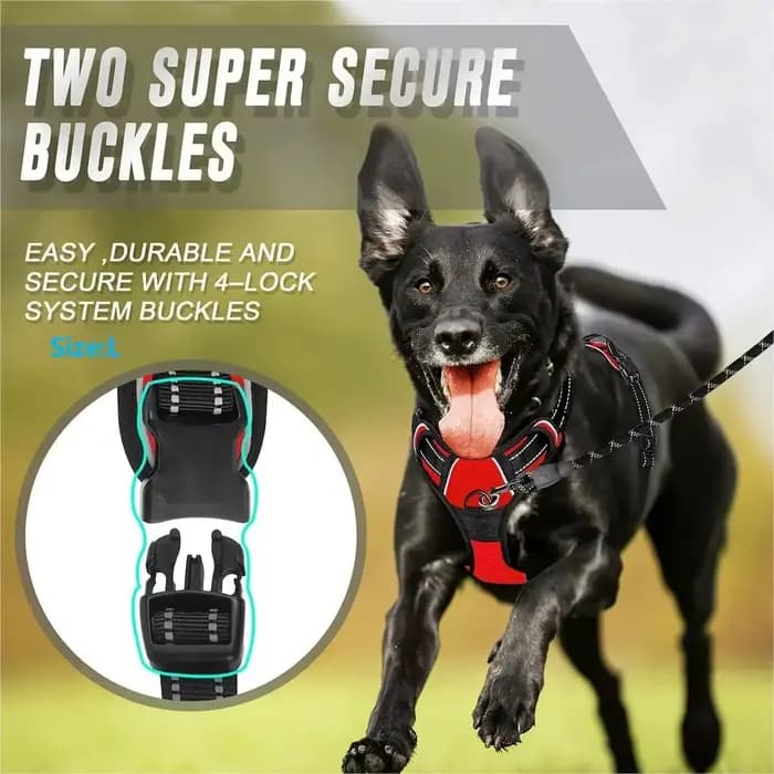 Colliers pour chiens, harnais, grands gilets, laisse, boutique d'animaux, tout pour chiens, accessoi