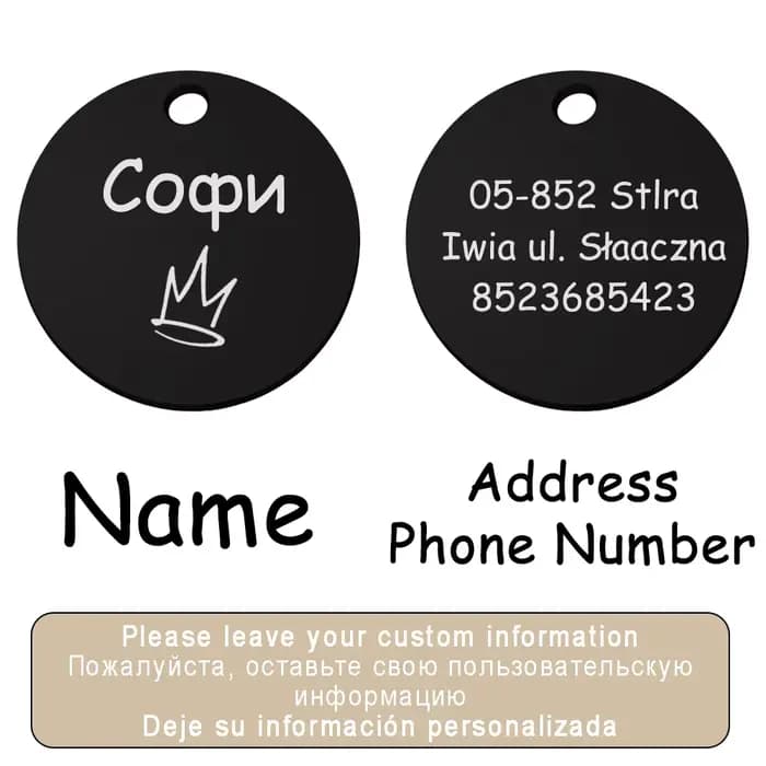 Collier personnalisé avec nom de chien et chat, accessoires circulaires personnalisés, étiquette d'i