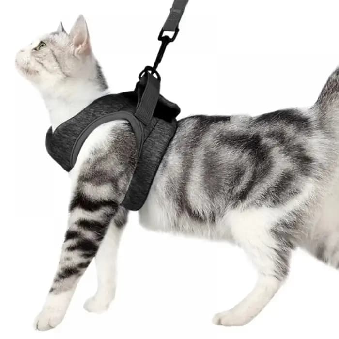 Ceinture Anti-fuite réglable pour petit chat, harnais pour chaton, léger, respirant, doux, gilet pou