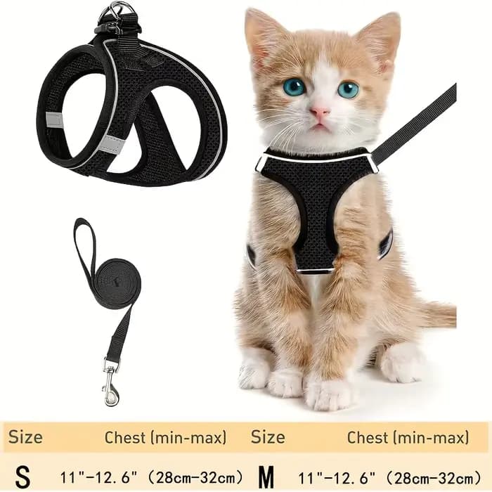 Ensemble de harnais anti-fuite pour chat : laisse de sécurité extérieure en maille souple réfléchiss