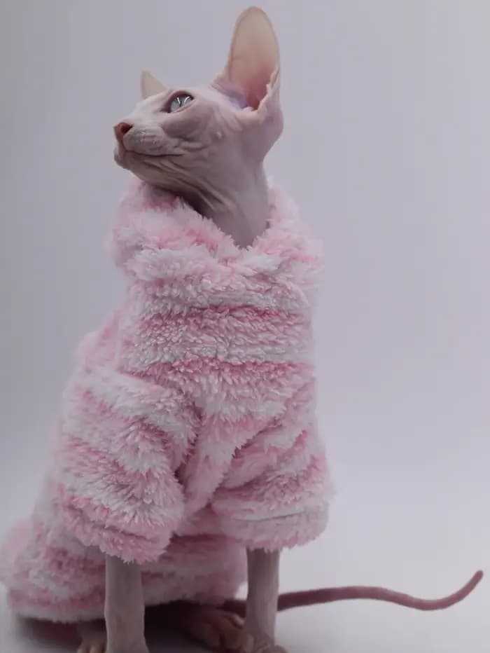 Cardigan en laine de vison pour animaux de compagnie, veste épaisse pour chat Sphinx, vêtements sans