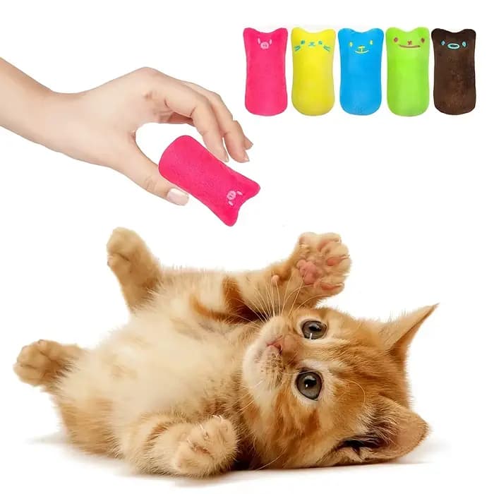 Jouet coule en herbe de cataire pour chat, 1 pièce, document aléatoire, fournitures pour animaux de 