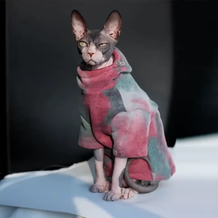 DUOMASUMI Sphynx vêtements pour chat sans poils Devon Rex vêtements automne hiver doublé polaire cha