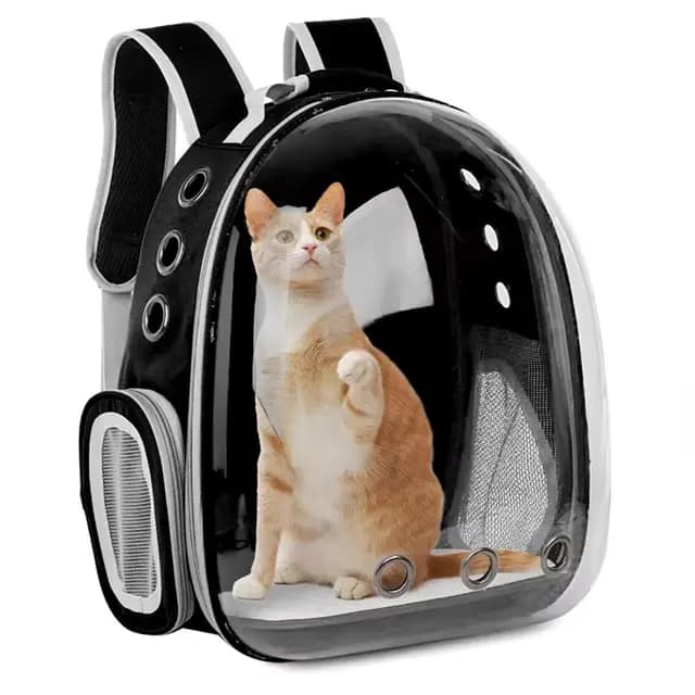 Sac de transport pour chat, sac à dos pour animaux de compagnie, sac à dos transparent respirant et 