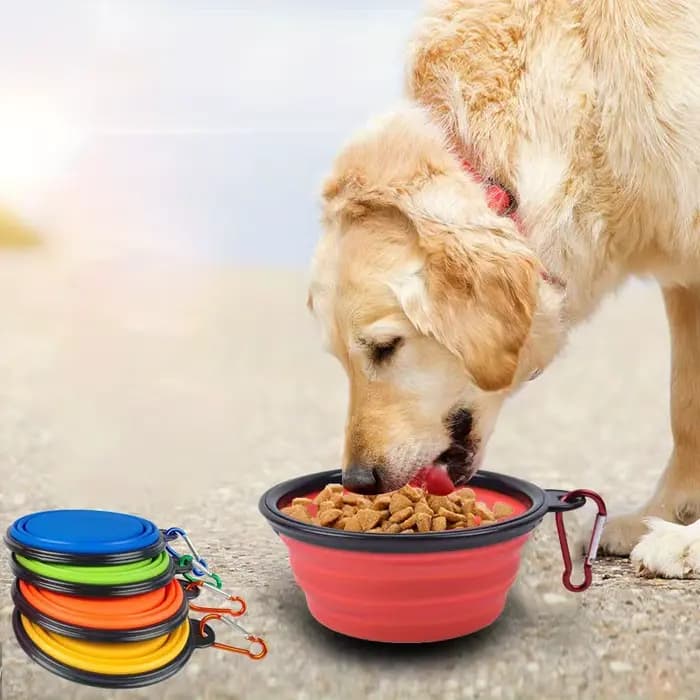 Bol pliant pour chien bol de voyage