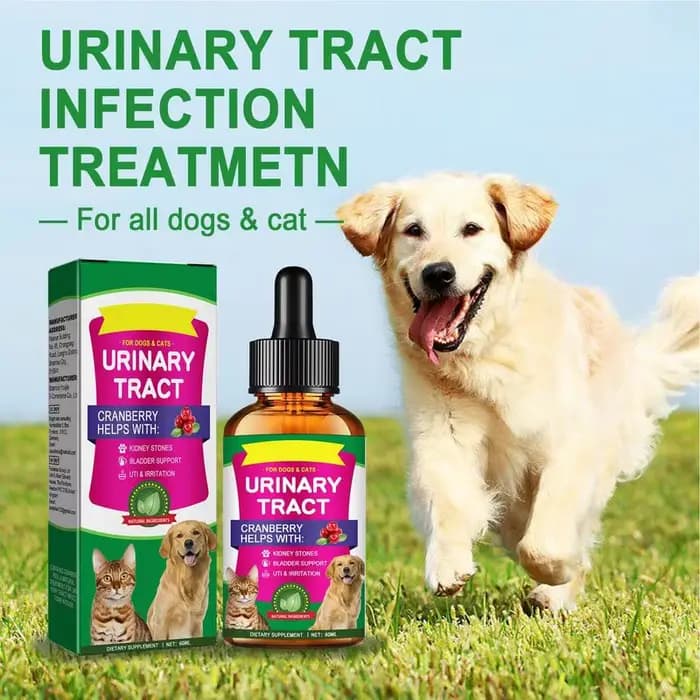 Traitements UTI pour animaux de compagnie