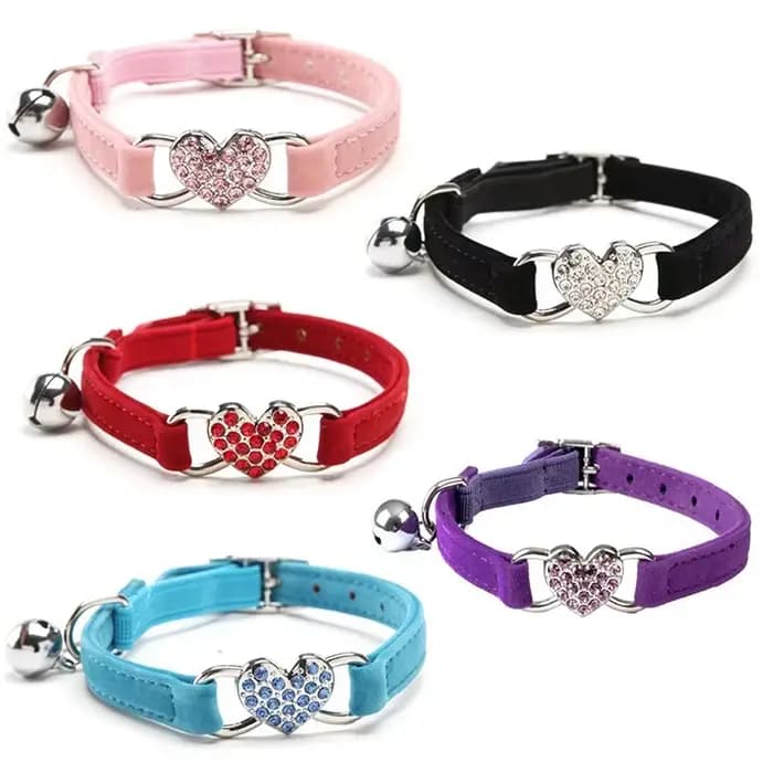 Collier pour chat avec cloche