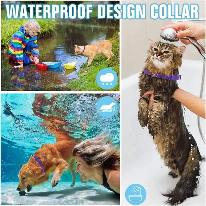 Collier apaisant réglable pour chiens et chats