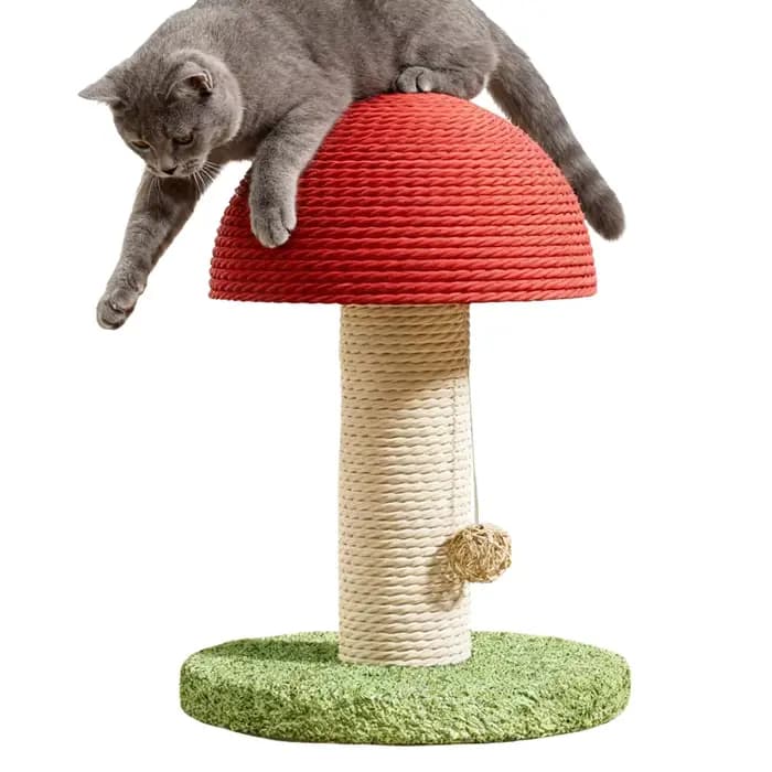 Arbre à gratter pour chat