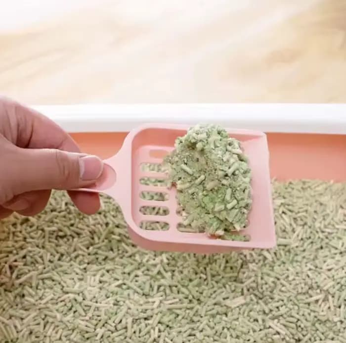 Nouvelle pelle à litière pour chat de compagnie
