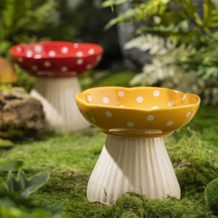 Bol à chat en forme de champignon de 6 pouces