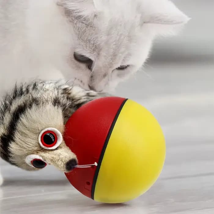 Jouets de balle interactifs pour chat