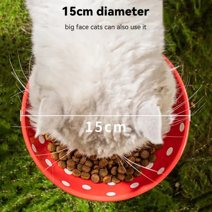 Bol à chat en forme de champignon de 6 pouces