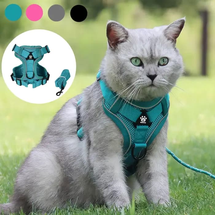 Harnais respirant pour chat