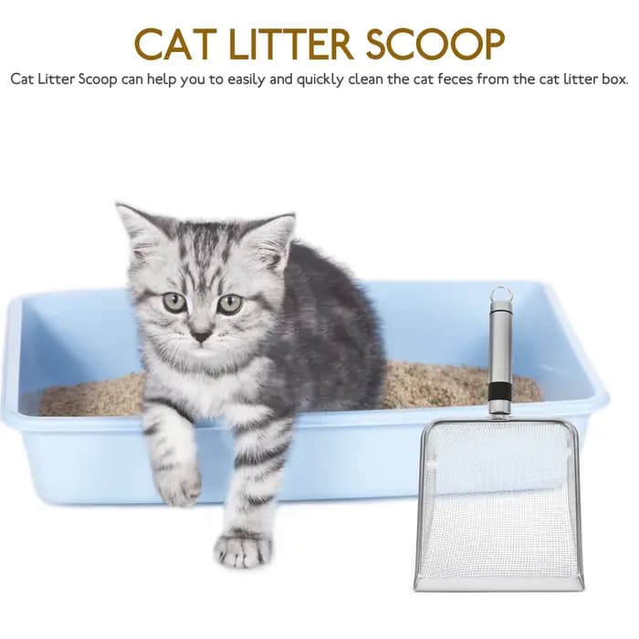 Pelle à litière pour chat en acier inoxydable