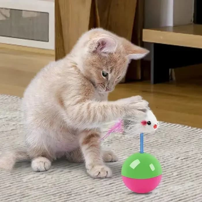 Ensemble de jouets pour chat